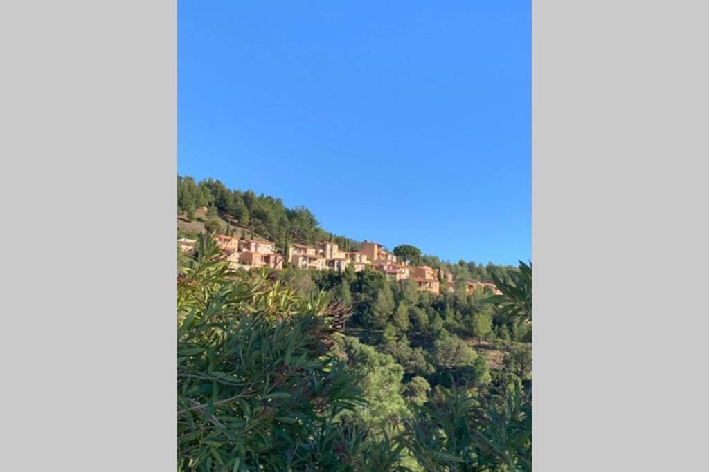 Tres Bel Appartement T3 Avec Splendide Vue Mer 雷以桑布尔 外观 照片